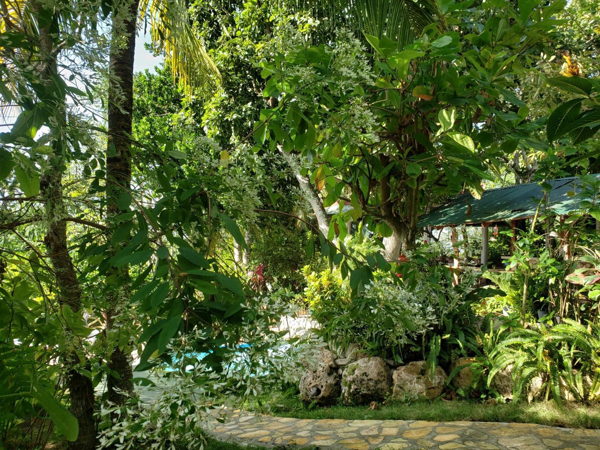 Zapote Tree Inn Flores Exterior photo