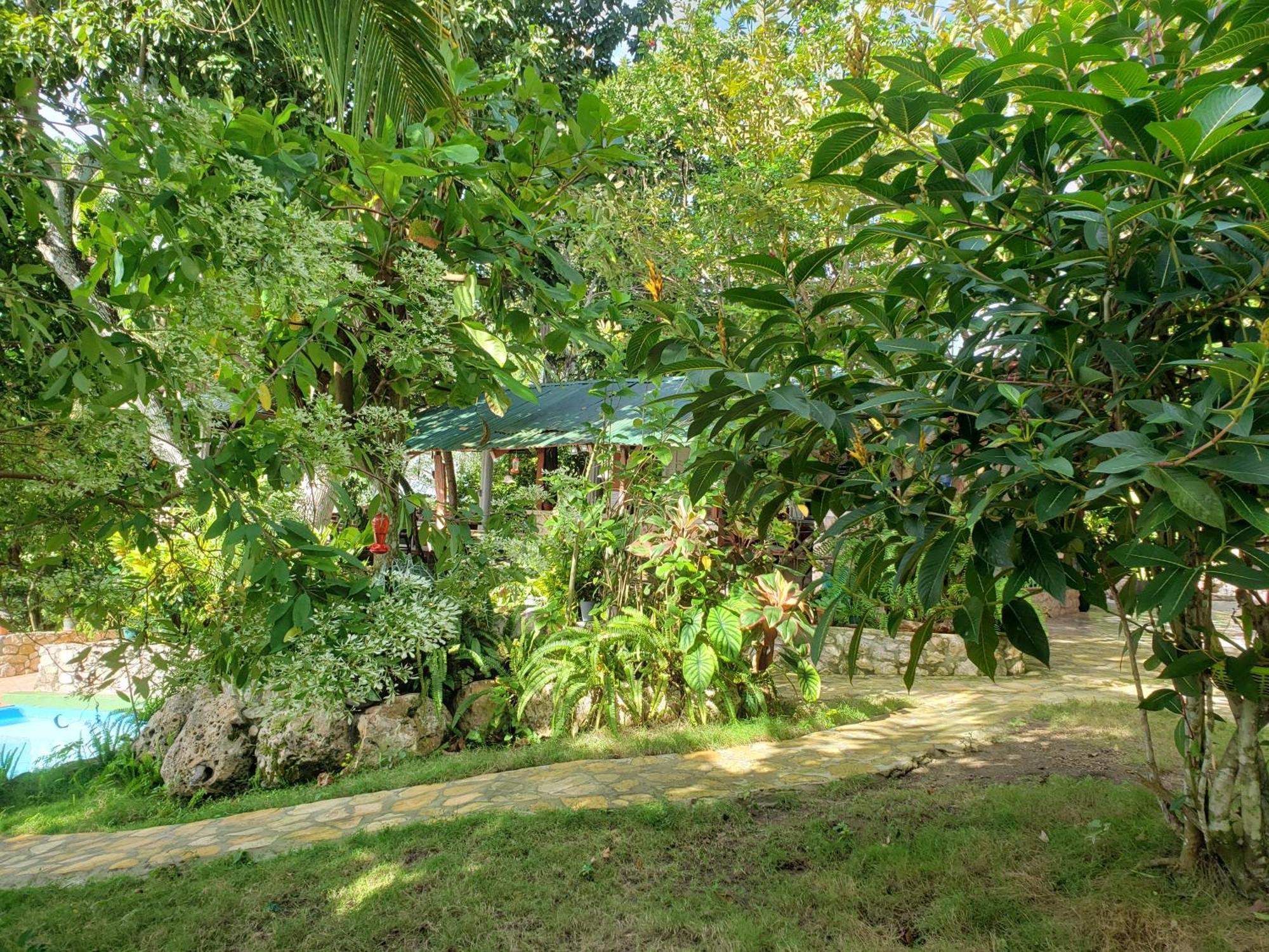 Zapote Tree Inn Flores Exterior photo