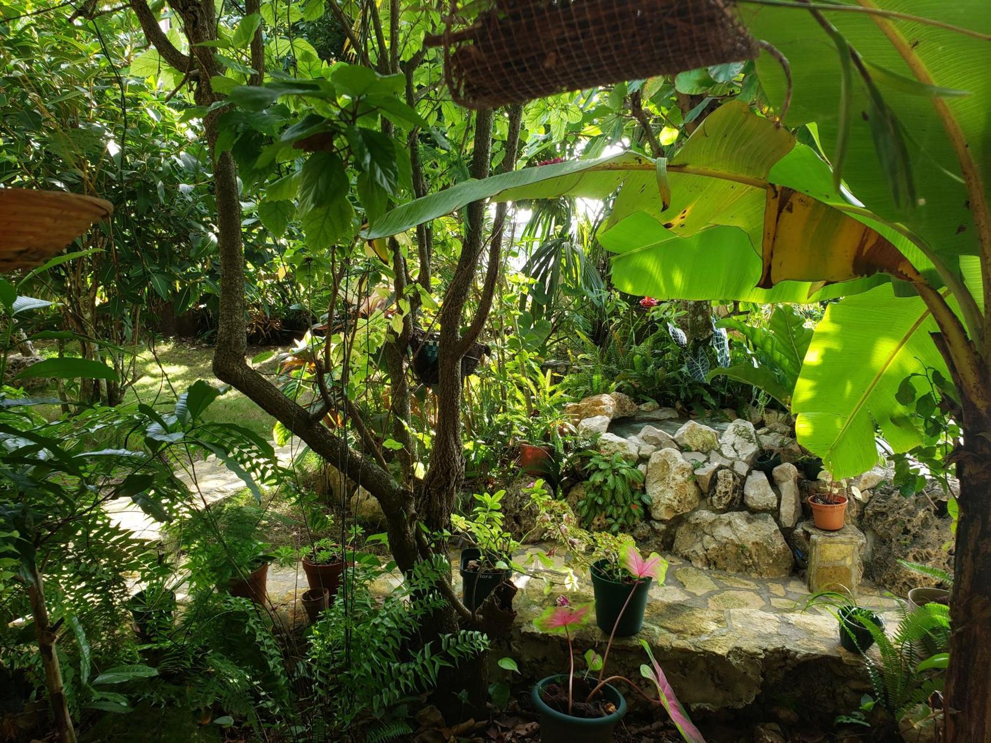 Zapote Tree Inn Flores Exterior photo